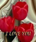 rebecca2kd