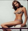 Lexx
